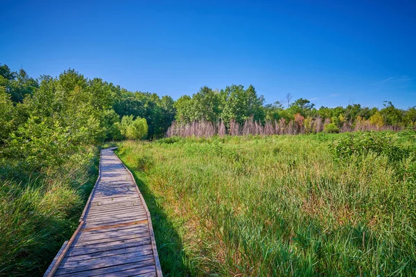 Pershing State Park 'ta tahta kaldırım, Mo. — Stok fotoğraf