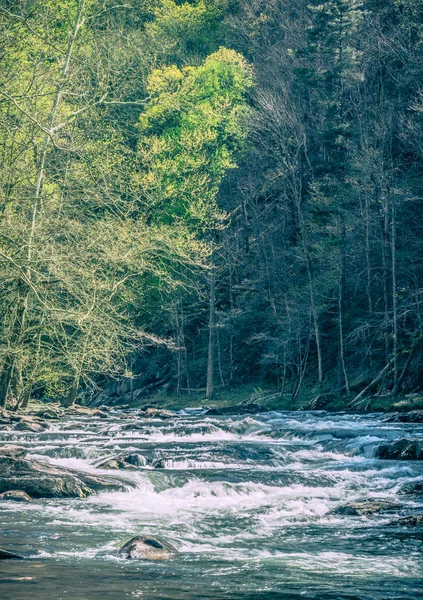 Tellico floden — Stockfoto