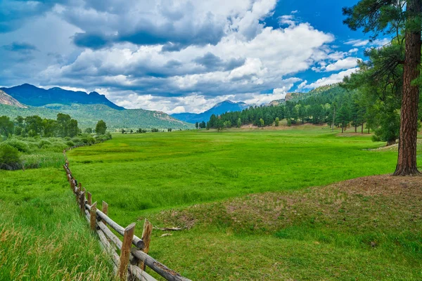Łąka alpejska z płotem — Zdjęcie stockowe