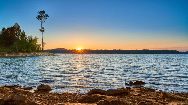 Single Tree on Cave Run Lake, Ky at Sunset — стоковое фото