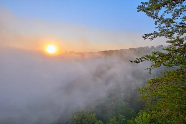 Ανατολή ηλίου μέσω ομίχλης στο Big South Fork National River και Recrea — Φωτογραφία Αρχείου