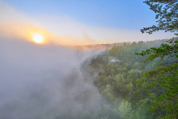 Ανατολή ηλίου στο Big South Fork National River and Recreation Area, T — Φωτογραφία Αρχείου