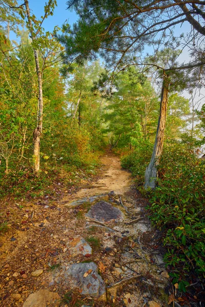 John Muir Trail - Big South Fork National River και Αναψυχή A — Φωτογραφία Αρχείου