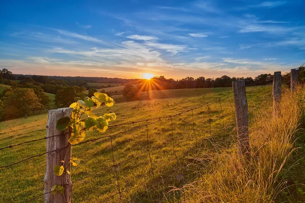 Pôr do sol com cerca, Harrison Co. KY — Fotografia de Stock