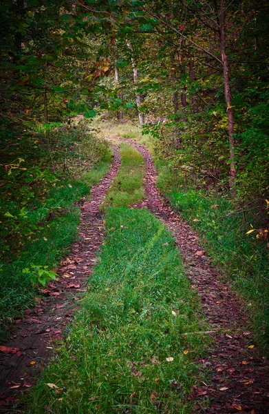 Offroadspår — Stockfoto