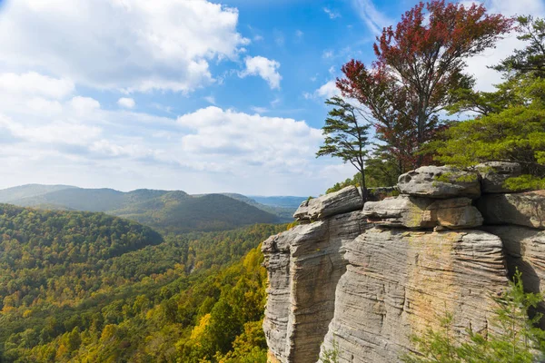 East Pinnacle Lookout — Stock fotografie