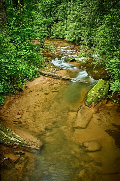 Corrente di montagna — Foto Stock