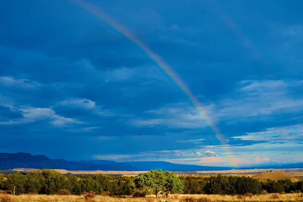 Wüste Regenbogen nach dem Sturm — Stockfoto