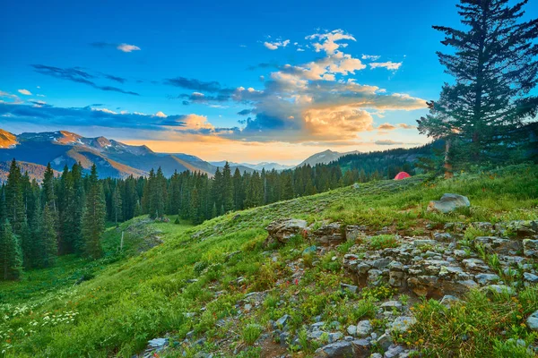 Tält på alpinängen med berg — Stockfoto