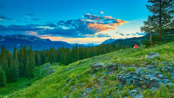 Палатка на альпийском лугу с горами — стоковое фото