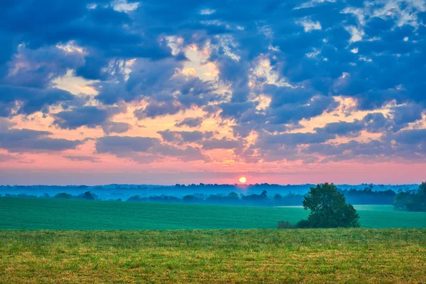 Alba sul campo in KY — Foto Stock