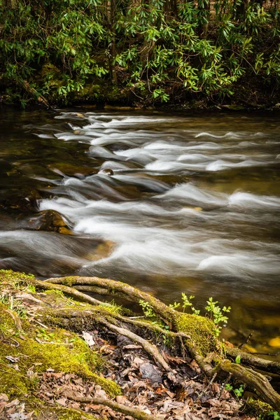 Rápidos en el río Norte, TN — Foto de Stock