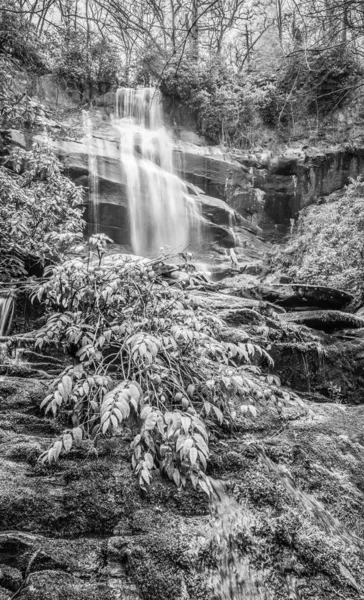 Falls Branch Falls, TN B & W — стоковое фото