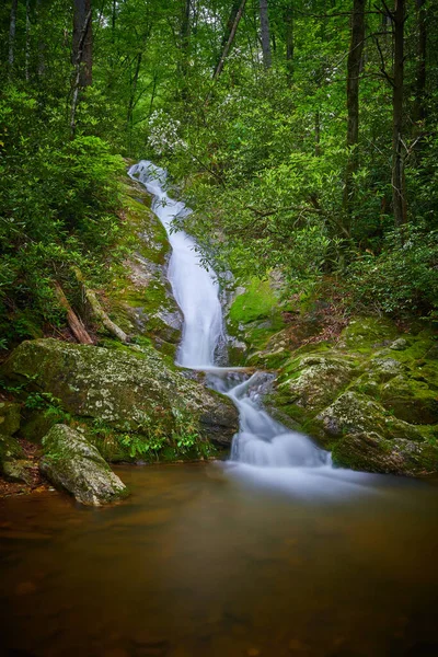 Ribbon Waterval Pisgah National Forest — Stockfoto