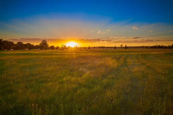 Puesta Sol Sobre Campo Hierba Con Rayos Sol — Foto de Stock