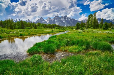 Grand Teton Ulusal Parkı 'nda Büyük Teton Dağları olan Yılan Nehri.
