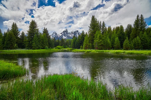 Bäverdamm Med Grand Teton Bergen Bakgrunden — Stockfoto