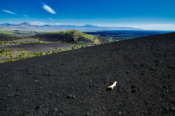 Список Викопних Порід Деревини Inferno Cone Craters Moon National Park — стокове фото