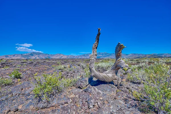 Eltorzult Fadarab Lávafolyam Tetején Hold Nemzeti Park Krátereiben — Stock Fotó