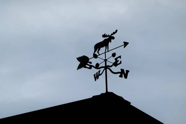 屋根の上にシルエットのムース状の気象ベーン — ストック写真