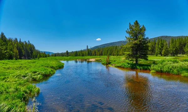 Johnson Creek Flyter Genom Alpäng Sawtooth National Forest — Stockfoto