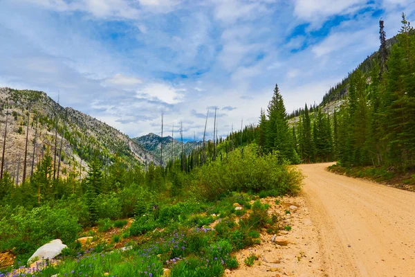 Bergsväg East Fork Road Till Mccall Idaho — Stockfoto
