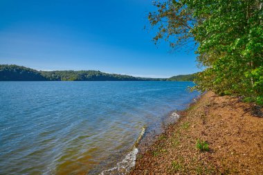 Kentucky Gölü 'nün kıyı şeridi Kenlake Eyalet Resort Parkı, Kentucky.