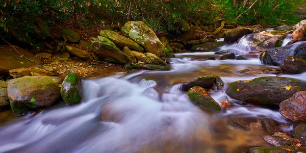 Curtis Creek Poblíž Curtis Creek Campground Horách Severní Karolíny — Stock fotografie