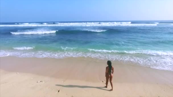 Jeune Femme Attrayante Profiter Détente Sur Plage Sable Fin — Video