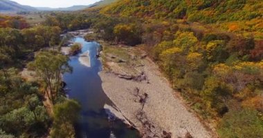 Sonbahar parlak ormanda akan mavi küçük dağ nehir üzerinde uçan. Güneşli bir gün. Rusya'nın Uzakdoğu. Hava