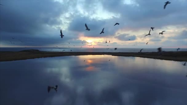 Slowmotion Flyga Bakåt Ovanför Ytan Sjön Vackra Ljusa Sunrise Flygfoto — Stockvideo