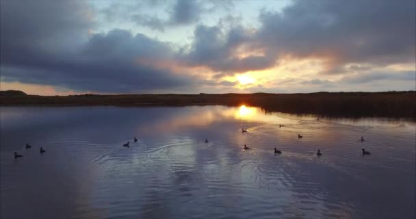 Flygande Ovanför Sjön Fantastiskt Med Simning Änder Magisk Soluppgång Långt — Stockvideo