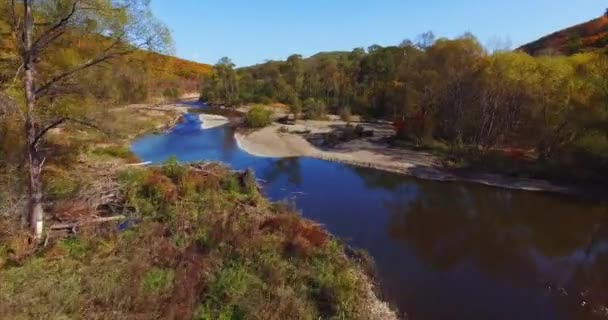 Volando Sopra Vista Aerea Bellissimo Piccolo Fiume Montagna Che Scorre — Video Stock