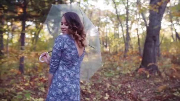 Vue Attrayante Jeune Femme Romantique Dans Forêt Automne Avec Parapluie — Video