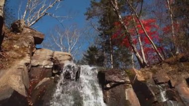 Sonbahar ormanında şelale