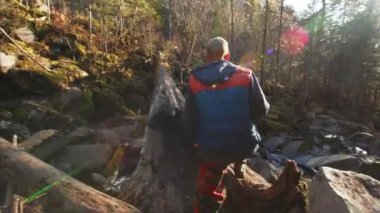 İnsan küçük dağ deresinin üzerindeki eski ağaç boyunca yürüyor. Güzel sonbahar ormanı. Rusya 'nın Uzak Doğusu