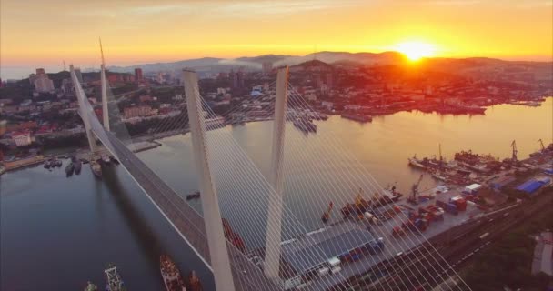 Vue Aérienne Imprenable Sur Golden Bridge Travers Baie Golden Horn — Video