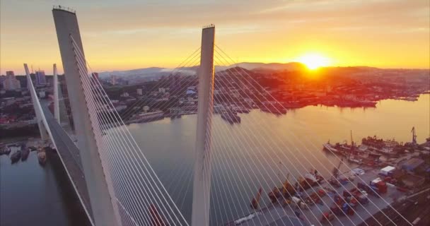 Flying High Golden Bridge Golden Horn Bay Aerial View Vladivostok — Stock Video