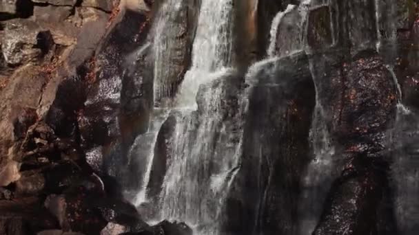 Cachoeira na floresta de outono — Vídeo de Stock