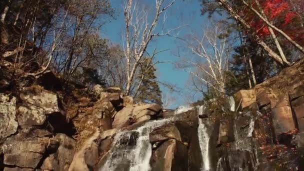 秋天森林中的瀑布 — 图库视频影像