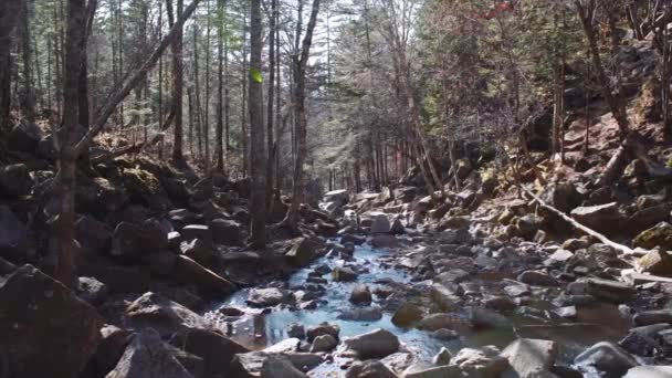 Cachoeira na floresta de outono — Vídeo de Stock