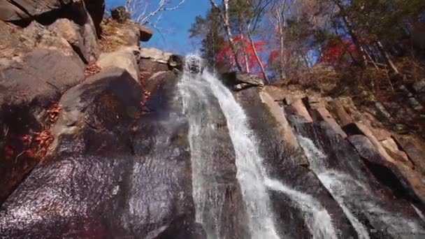 Vattenfall i höstskogen — Stockvideo