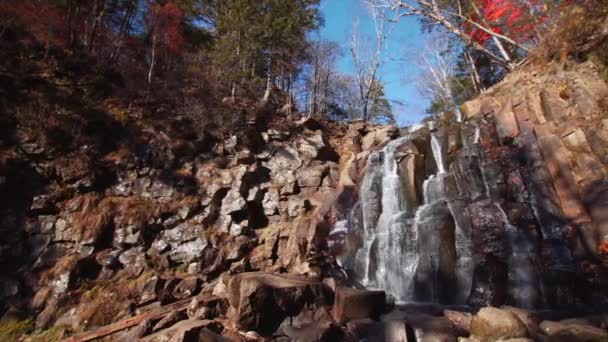 Vízesés az őszi erdőben — Stock videók