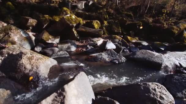 Vattenfall i höstskogen — Stockvideo