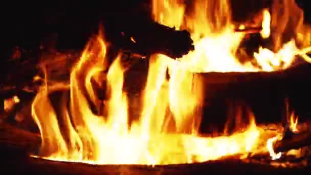 Kamp Ateşi Görüntüsü Yakın Çekim — Stok video
