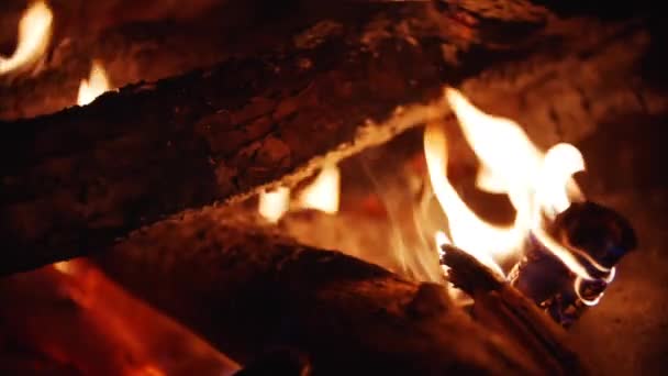 Kamp Ateşi Görüntüsü Yakın Çekim — Stok video