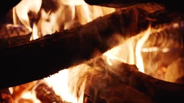 Footage Campfire Close — Stock Video