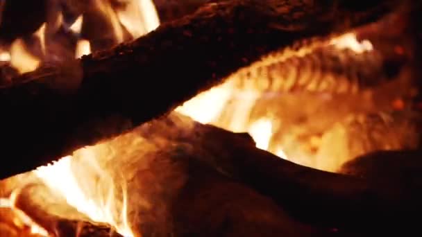 Kamp Ateşi Görüntüsü Yakın Çekim — Stok video