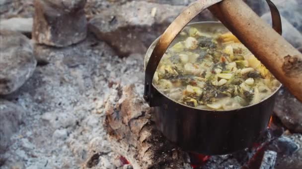 新鮮な魚からおいしい煮魚のスープとキャンプファイヤーの上の鍋の近くビュー — ストック動画