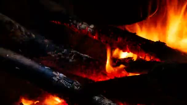 Πλάνα Από Φωτιά Κατασκήνωσης Κοντά — Αρχείο Βίντεο